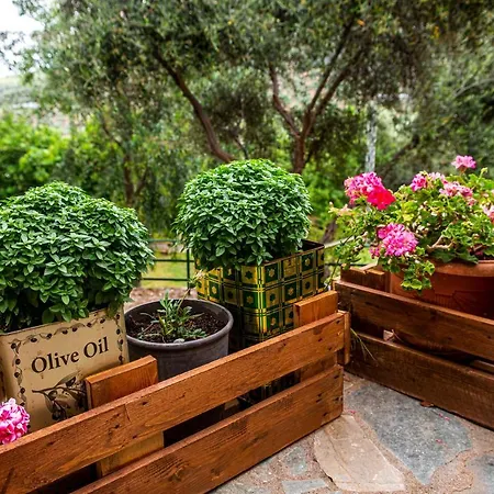 Farm stay Art Farm Agroktima Marini *