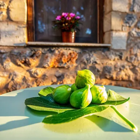 Art Farm Agroktima Marini